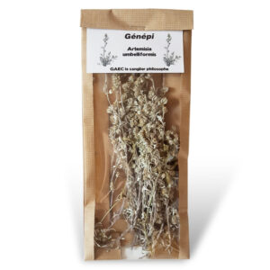 génépi en brin pour liqueur / Le Sanglier Philosophe