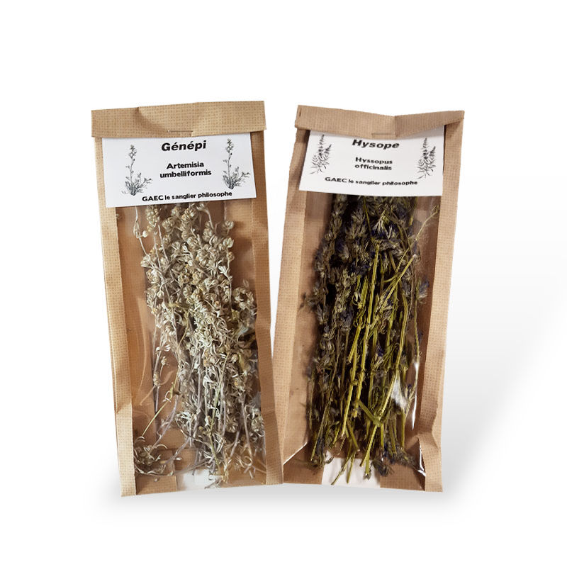 Brins pour liqueurs - Le sanglier philosophe