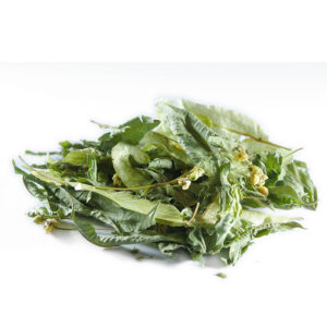 Tisane merlin l'Enchanteur en vrac