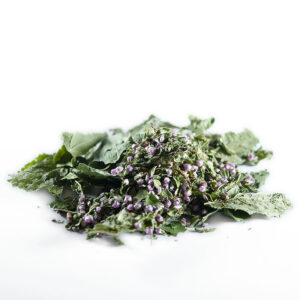 Tisane Into The Wild en vrac